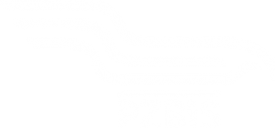 PZBiS2